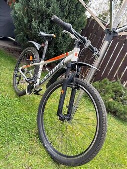 Dema Racer “26”