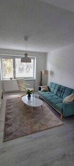 Prenájom 2-izbového bytu – po kompletnej rekonštrukcii, zari