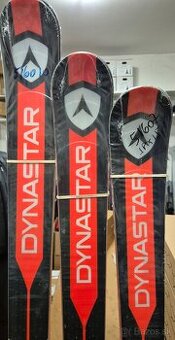 Dynastar speed WC FIS GS  +SPX 11,15