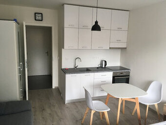 Na prenájom 1kk byt, centrum Košice, lodžia, parkovanie