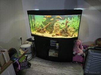 Predám akvárium JUWEL 240l