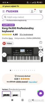 Korg pa 300