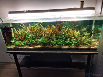 Predám akvárium