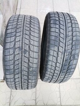 Celorocné pneumatiky