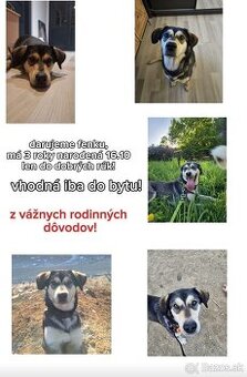 Darujem fenku z vážnych rodinných dôvodov, len do bytu