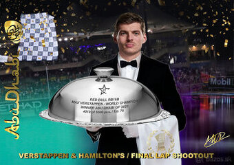 Max Verstappen 2021 World Champion Red Bull F1 RB16B Abu Dha