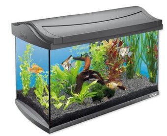 Akvárium tetra 60 l + vonk.filter Oase FiltroSmart Thermo100