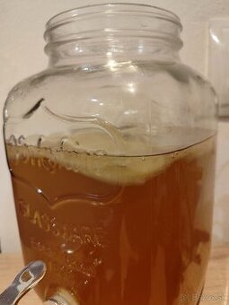 Huba na výrobu kombuchy (Scoby)