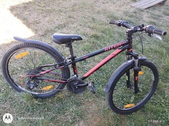 Kellys kiter