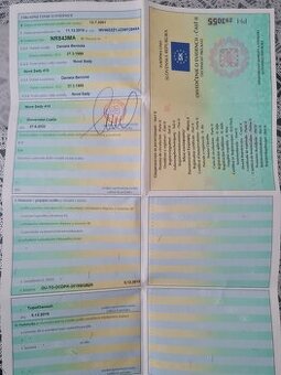 Volkswagen Golf 4 1.9 TDI (85kw)