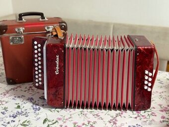 Heligonka delicia popular cf