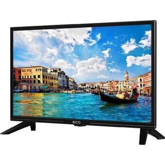 ECG 24" 61cm Tv/ Monitor