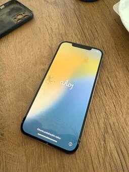 Apple 12 pro max