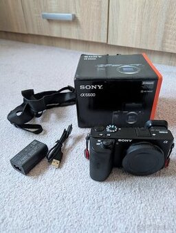 Sony A6600