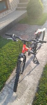 Ctm Willy 1,0 24"