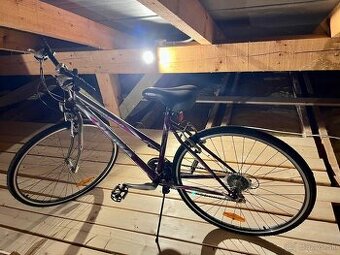Bicykel ormea dema