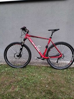 CTM Rascal