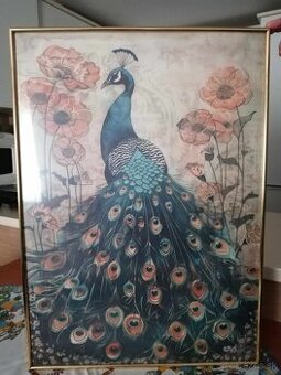 Obraz páva s kvetmy