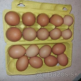 Predám domáce vajcia