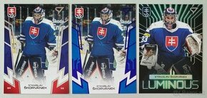 Hokejové kartičky HOKEJOVÉ SLOVENSKO 2024 - Stanislav ŠKORVA