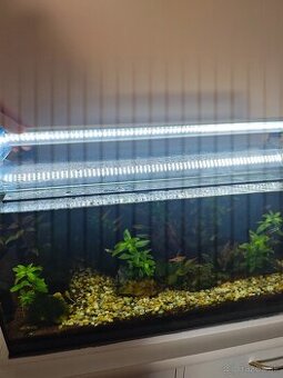LED svetlo do akvária (60cm)
