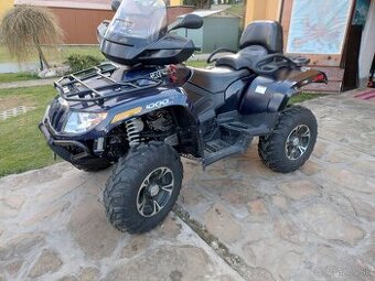 arctic cat 1000