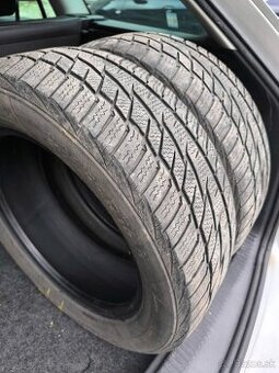 Zimné pneumatiky 205/55/R16
