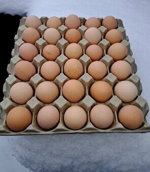 Slepačie a prepeličie vajíčka