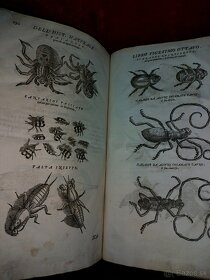 Stara velka  kniha Encyklopedia  živočíšnej ríše z r. 1672