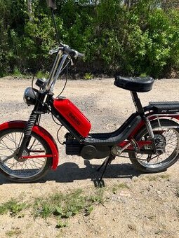 BABETTA 210