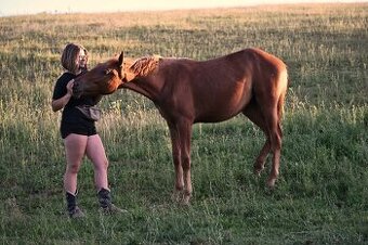 Appaloosa s pp
