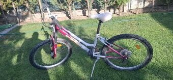 Horský bicykel 24"