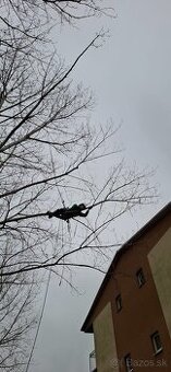 Celoročný odborný orez a výrez stromov