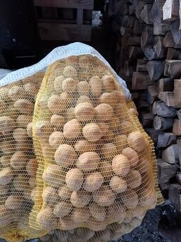 Predám domáce sadbové zemiaky z vlastnej úrody