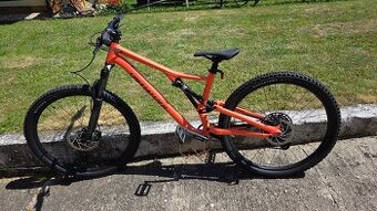 Specialized Stumpjumper alloy