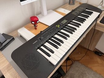 Keyboard Casio – CTK 240
