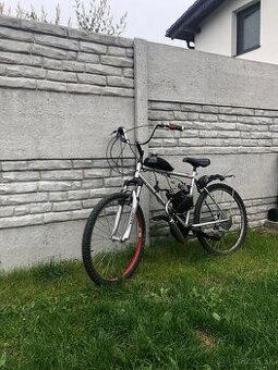 Motokolo 80cc
