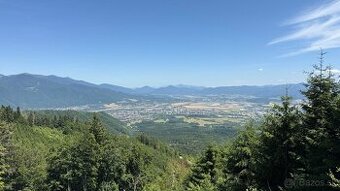 Lesný pozemok v Martine.