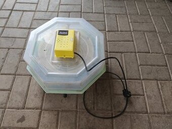 Predám liaheň Cleo5