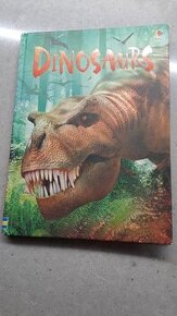 Usbourne Beginers Dinosaurus