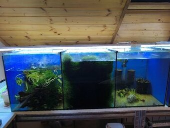 Predám akvárium 185 l 100x50x37