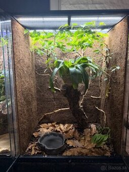 Terárium EXO TERRA 60 x 45 x 90 cm