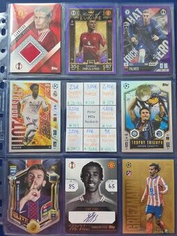 Fotbalove karticky TOPPS, Panini, cast 1/2