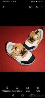 Botasky Lion king