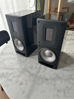 Reproduktory Raidho Acoustics X1T