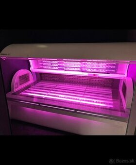 Bioptron lampa