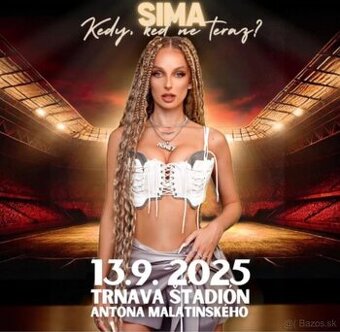 Sima koncert vstupenky 2ks