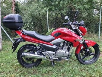 Suzuki gw 250 inazuma