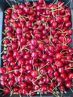 Čerešne - Posledné 2 kg