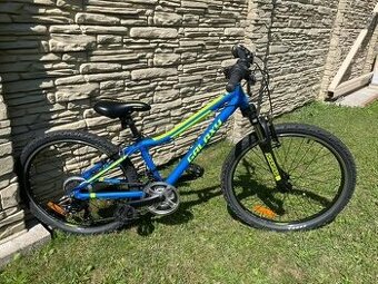 Galaxy Pavo 24" - model 2020 modrá